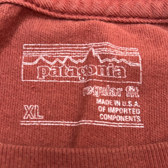 Patagonia Men's Running Hiking Mountain Scene Organic Cotton T-Shirt Size XL - Picture 4 of 7